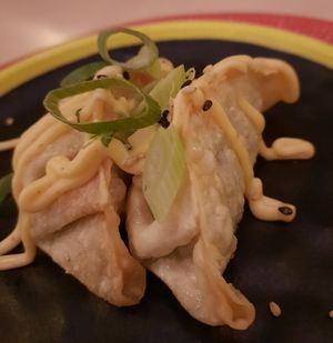 Vegan gyoza's at Casa Chow in Gouda