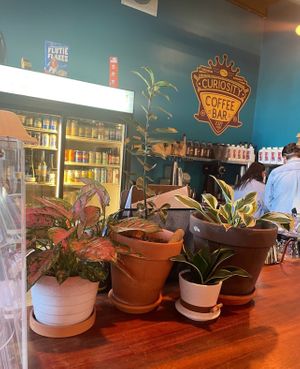   at Curiosity Coffee Bar in Columbia