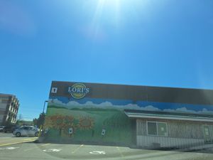  at Lori's Natural Foods in Rochester