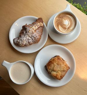   at Equator Coffees in Larkspur