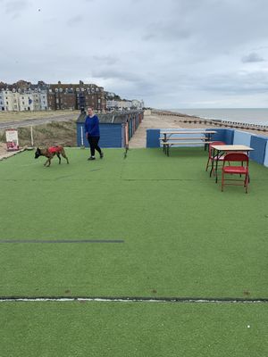 The Bathing Hut at The Bathing Hut in St Leonards
