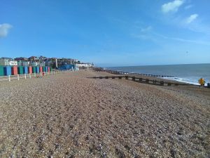The beech in front of the Bathing Hut café. at The Bathing Hut in St Leonards