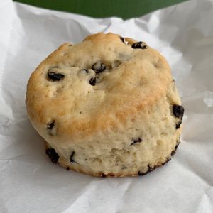 Currant Scone  at Take Two Cafe in Schenectady