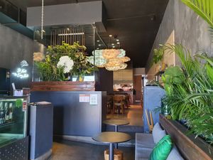 Beautiful decor at Plants and Me in Southport