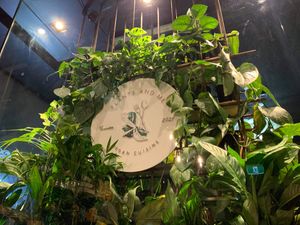 Sign at Plants and Me in Southport