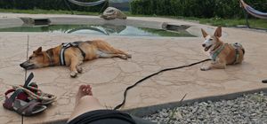 Piscina at O Viso Ecovillage in Ourol