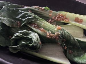   at Phat Boy in Brisbane