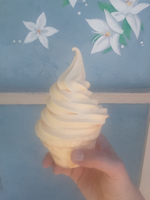 DOLE Whip® Orange Cup at Walt Disney World - Sunshine Tree Terrace in Lake Buena Vista
