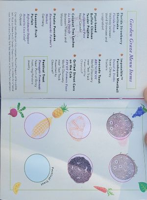 Passport at Walt Disney World - The Land Cart in Lake Buena Vista