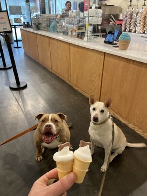 Vegan pup cups 🥰  at Simons Says Dip This in Durham