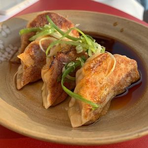 Dumplings at M Pocha in Durham