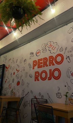   at Perro Rojo in Guadalajara