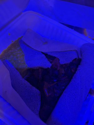   at Addissae in Asheville