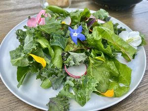 Locally fresh green salad assorted with edible flowers  at Flower Park in Ishioka
