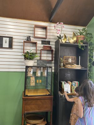 Orange scones & intriguing things at New Moon Vegan in Batavia