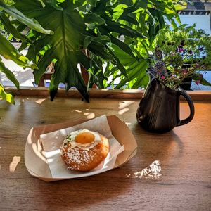 Apricot donut with a cream filling at New Moon Vegan in Batavia