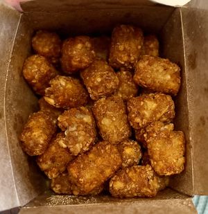 Fatty tots  at Fat Boy's Vegan Burgers in Brooklyn