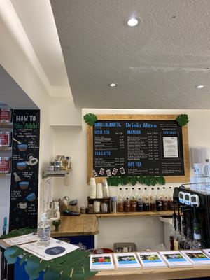 Drinks menu at Bird & Blend in North London