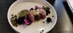 Sorbetijs van rood fruit en chocolade mousse at Hof van Keent in Weert