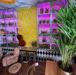 Interior at Dinamita Perfumada in Madrid