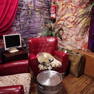 La mochi . Pet friendly. at Dinamita Perfumada in Madrid