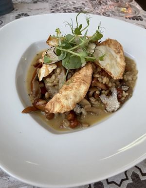 Orzotto at Bookeria in Rovinj