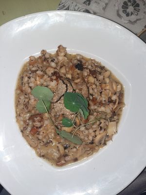 Orzotto at Bookeria in Rovinj