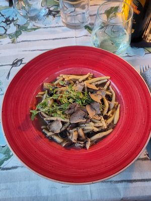  at Bookeria in Rovinj