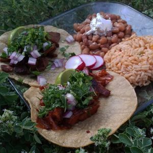 Delicious taco plate 🤠 at Nacho's Vegan Food in San Bernardino