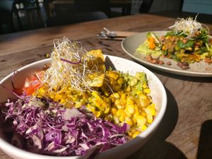 Tofu scramble at Crave Cairns in Cairns