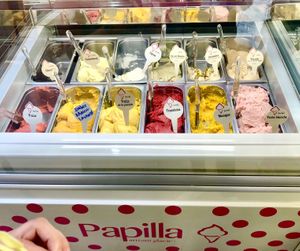 The vegan flavours   at Papilla in Nice