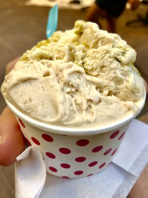 Hazelnut   at Papilla in Nice