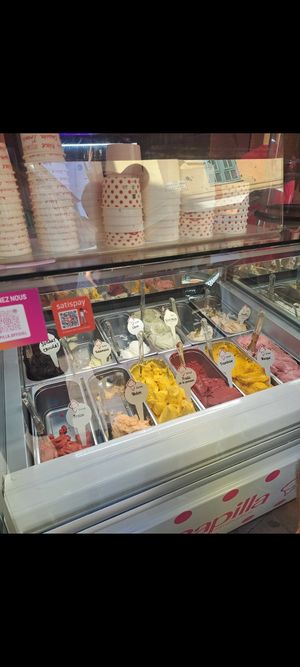 Half the icecreams are vegan - separate freezer at Papilla in Nice