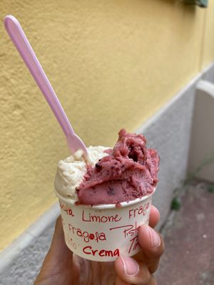 Fig sorbet and vegan hazelnut ice cream at Papilla in Nice