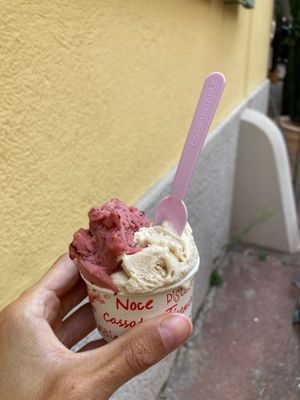 Fig sorbet and vegan hazelnut ice cream at Papilla in Nice