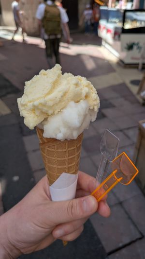 at Papilla in Nice