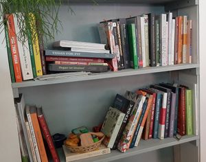  at Sattva Vegan in Vienna