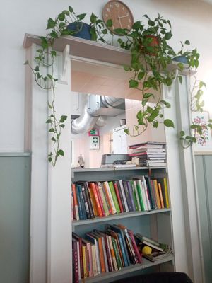  at Sattva Vegan in Vienna