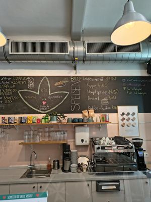  at Sattva Vegan in Vienna