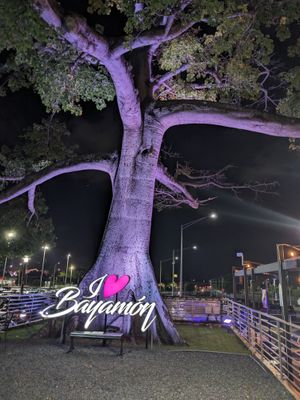  at Lokales in Bayamon