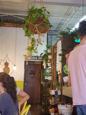 And more plants.  LOVE! at Lana's Healthy Bistro & Juice in San Juan