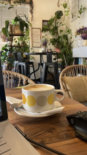   at Lana's Healthy Bistro & Juice in San Juan