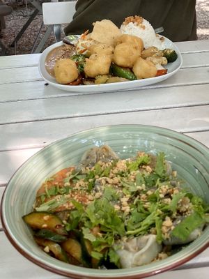 Dumplings and Tofu Peanut at Daur Lang in Cologne