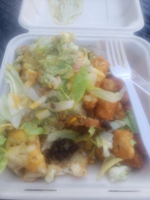 Very blurry photo of the chimichanga and tots at The Grumpy Goose in Duluth