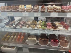  at Vegateau in Montreal