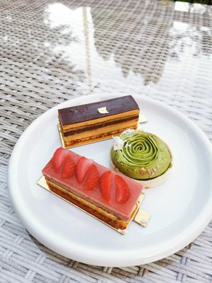  at Vegateau in Montreal