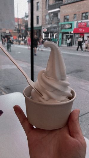 Small soft ice cream  at Vegateau in Montreal