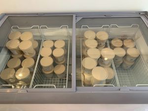 Ice Cream at Vegateau in Montreal