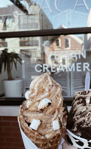 Vegan oat milk ice cream cone with toasted marshmallows, peanut butter sauce & cookie crumble 🍪  at Vaca's Creamery in Chicago