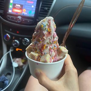 inner child sundae at Vaca's Creamery in Chicago